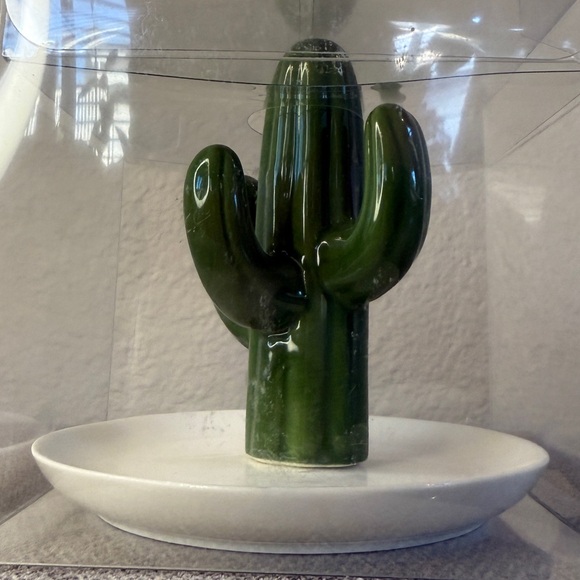 Cactus Ring Jewelry Trinket Dish — Green and White - Picture 5 of 14
